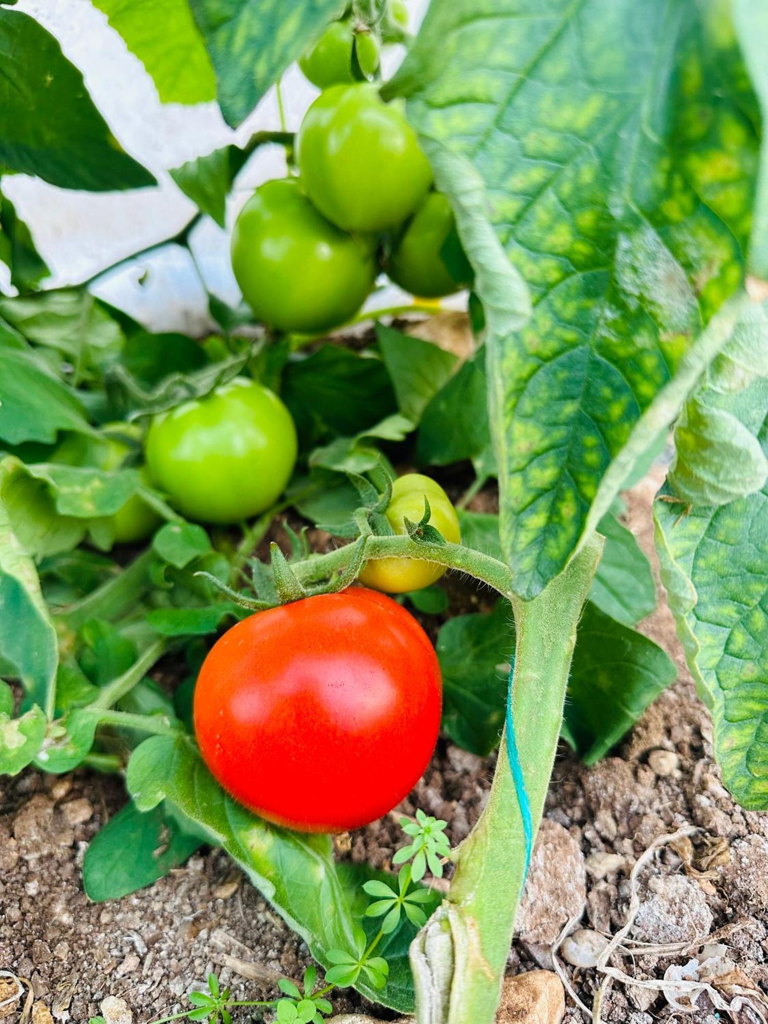 Kumluca Gelidonya Pansiyon מראה חיצוני תמונה