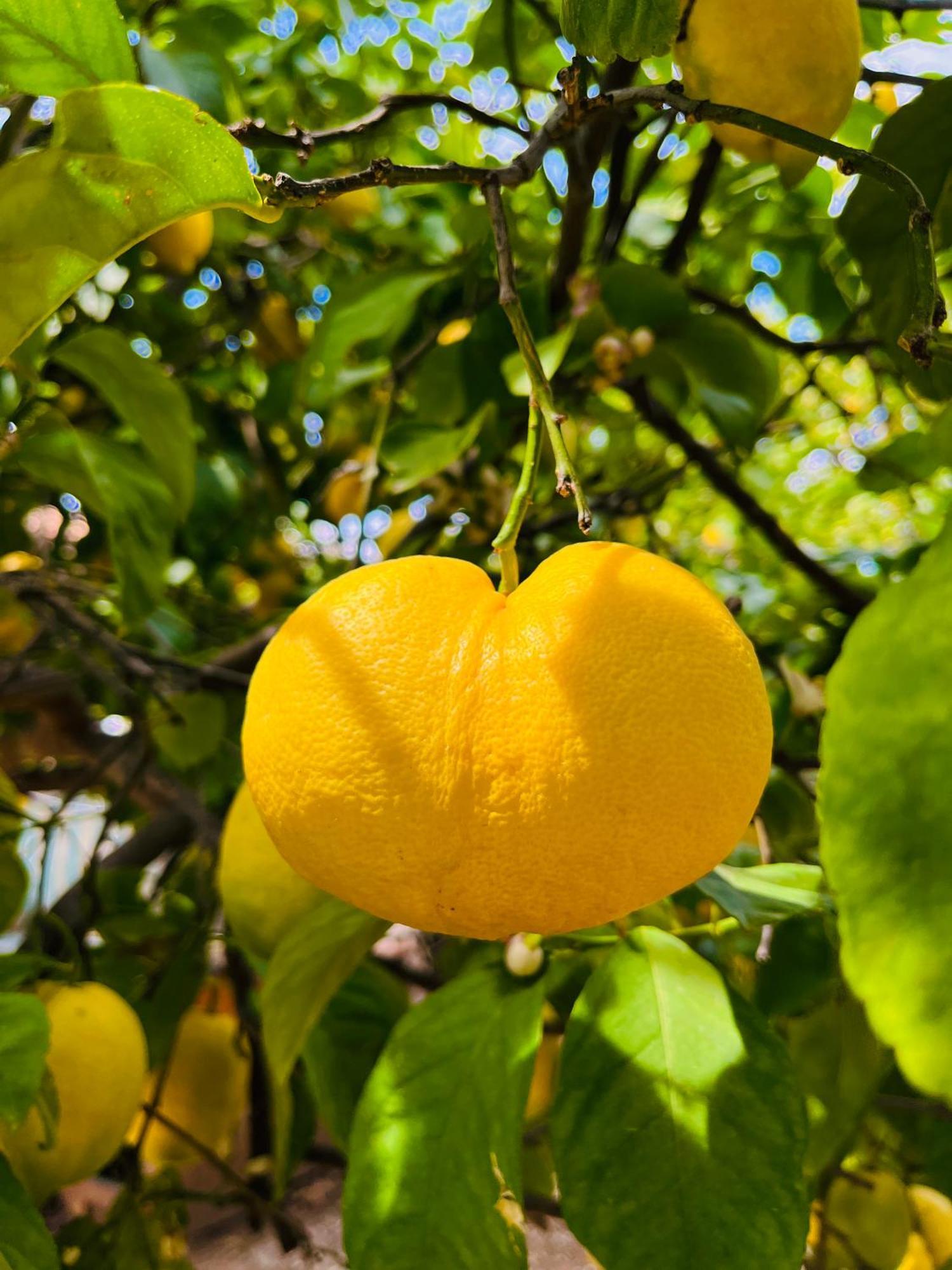 Kumluca Gelidonya Pansiyon מראה חיצוני תמונה