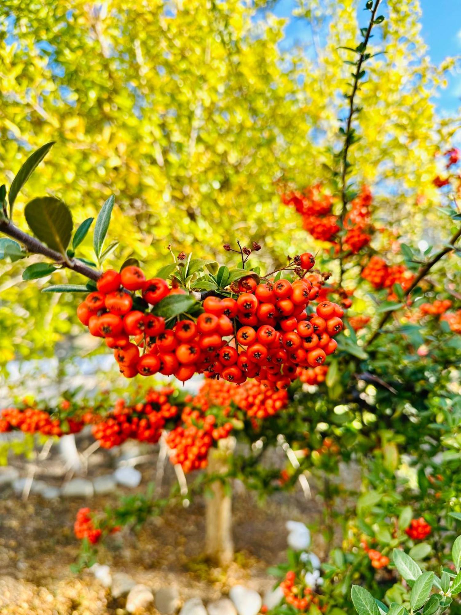 Kumluca Gelidonya Pansiyon מראה חיצוני תמונה