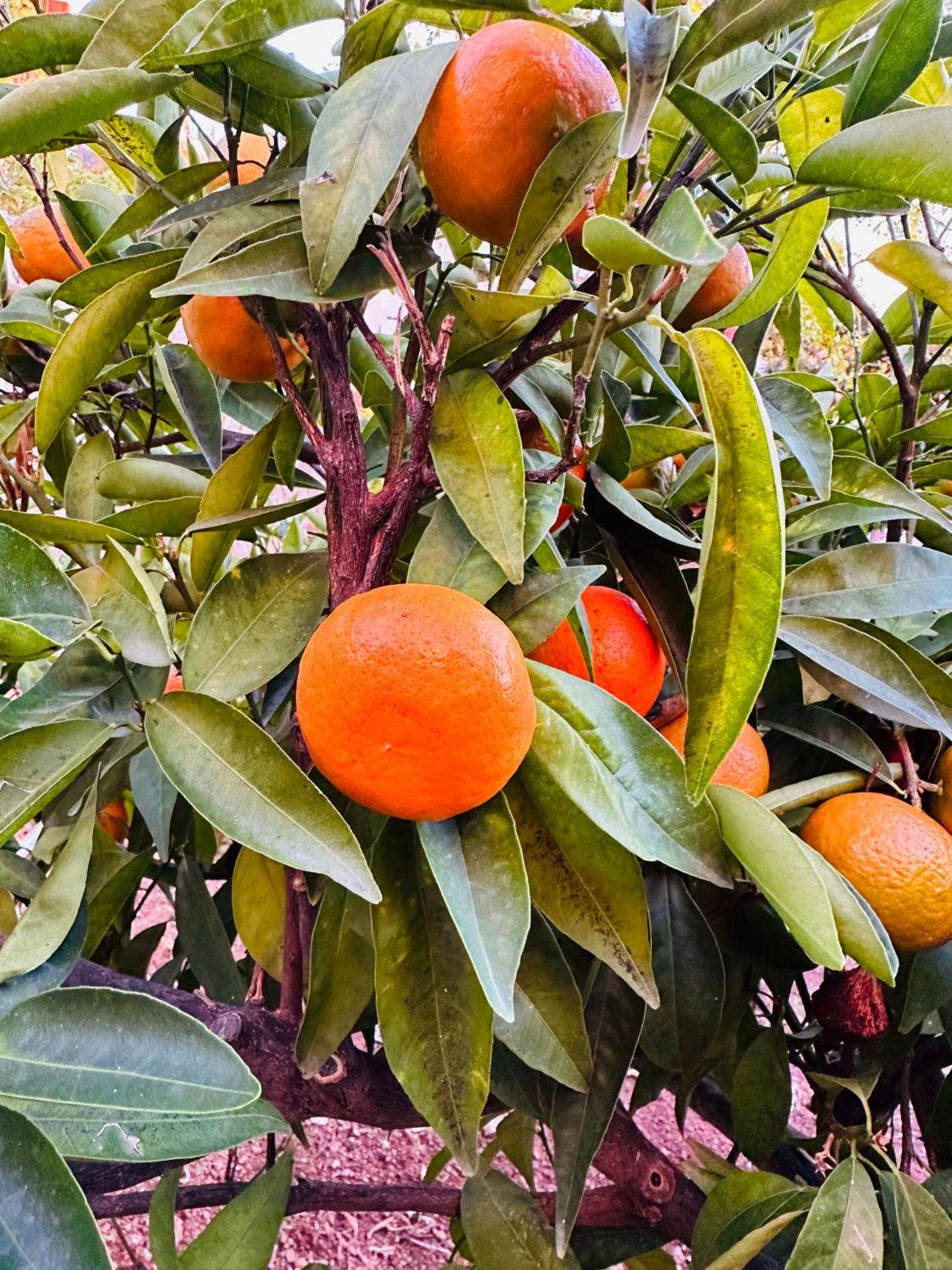 Kumluca Gelidonya Pansiyon מראה חיצוני תמונה