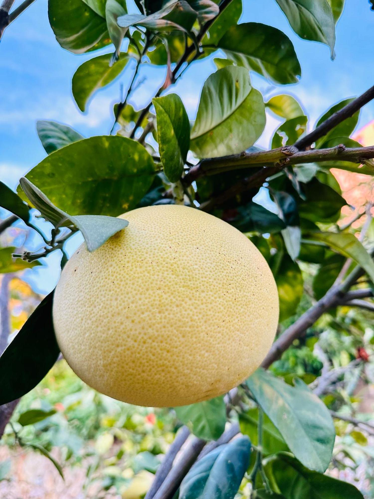 Kumluca Gelidonya Pansiyon מראה חיצוני תמונה